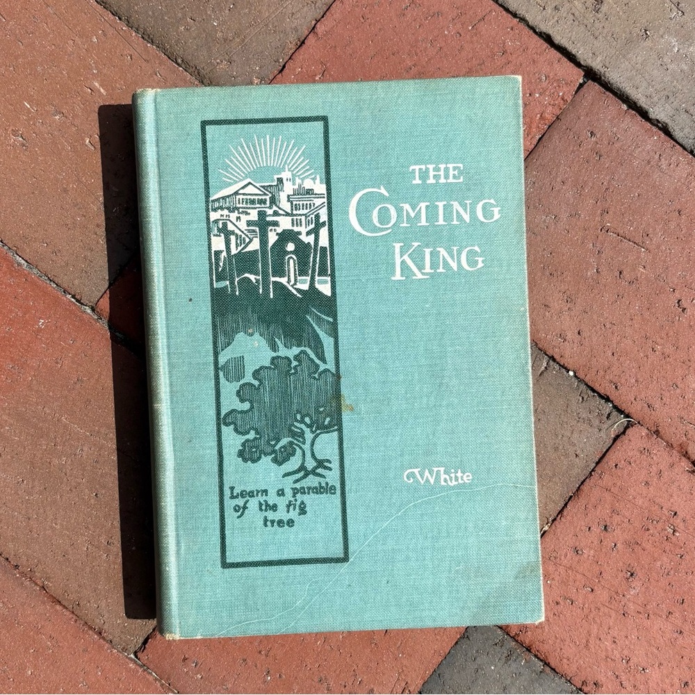 1911 The Coming King Religion Life of Christ Lord Christian God Angels Marbling